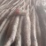 正宗的铁棍山药，面积大，货源充足，一个地方就万亩