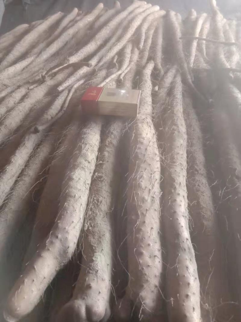 正宗的铁棍山药，面积大，货源充足，一个地方就万亩