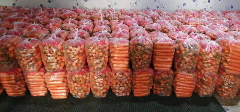 河南，精品，三红萝卜，有水洗货，电商货，市场货，通货，