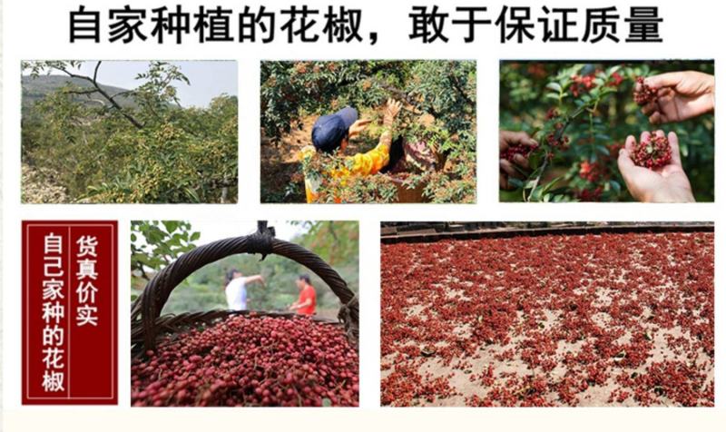 红花椒【泡脚花椒】专用500g包邮足裕干花椒粒