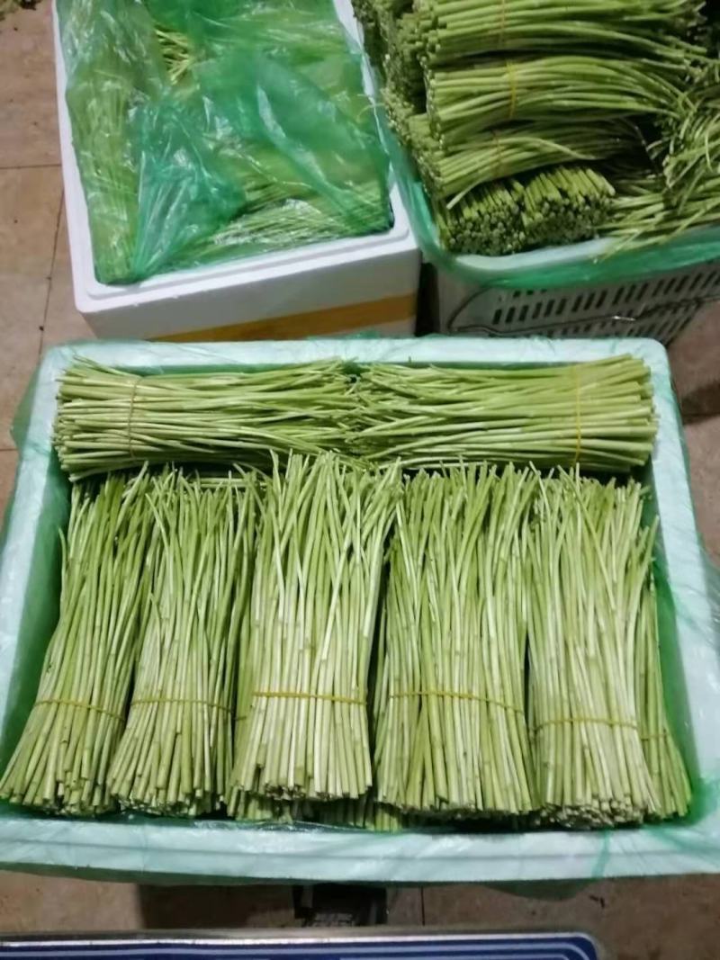 信誉至上，品质至上精品保障