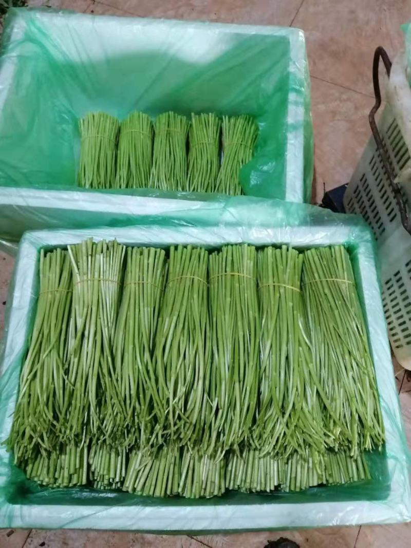 信誉至上，品质至上精品保障