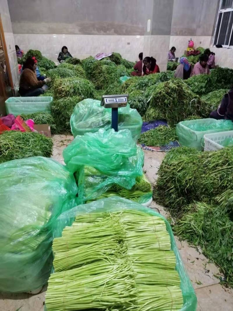 信誉至上，品质至上精品保障
