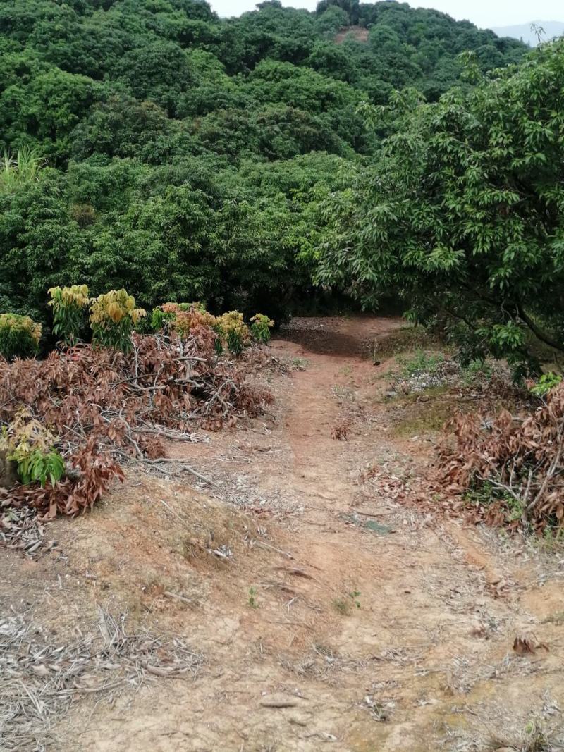 山地，交通方便路到位。