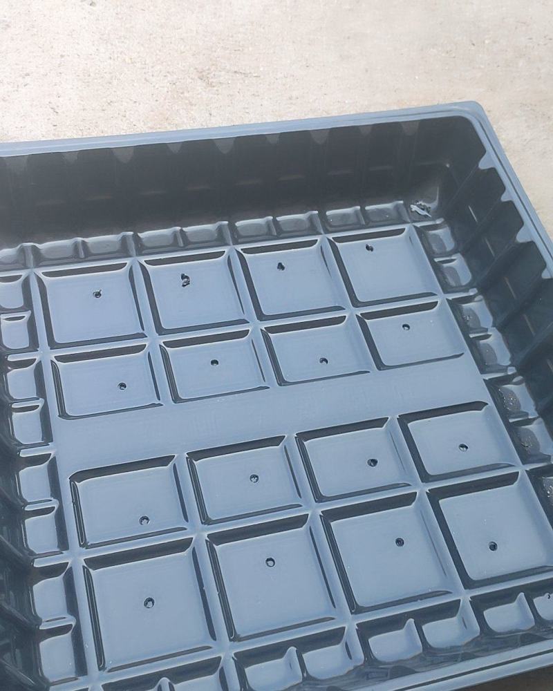 马铃薯专用盘土豆专用盘订作各种规格穴盘订做穴盘支架: