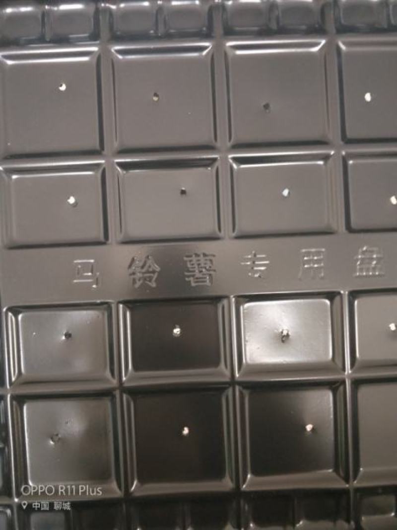 马铃薯专用盘土豆专用盘订作各种规格穴盘订做穴盘支架:
