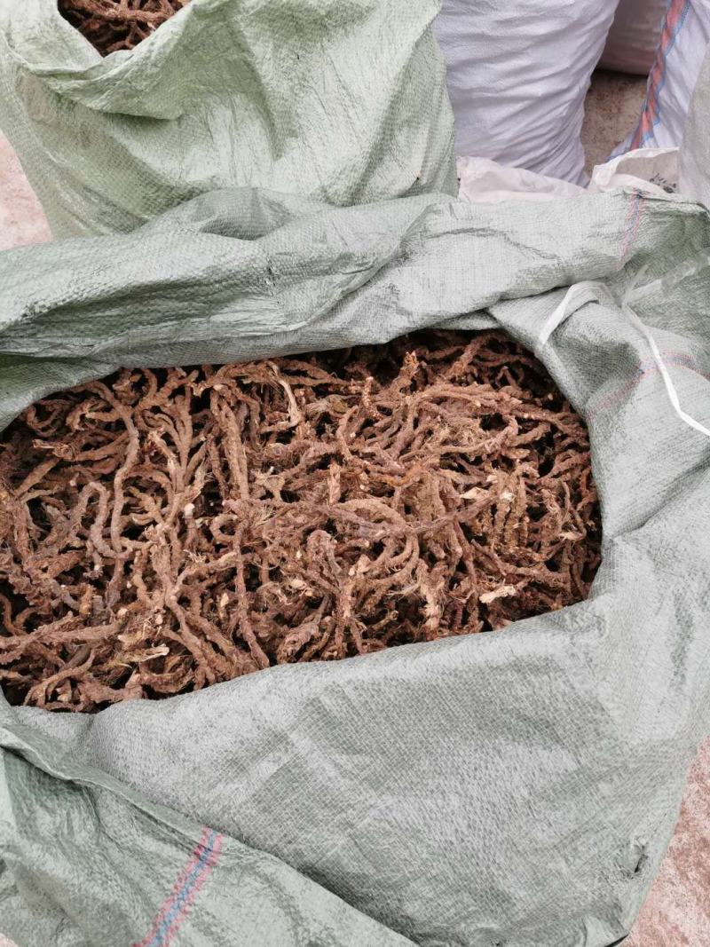 常年收购石菖蒲干鲜货，不限地区数量有多少
