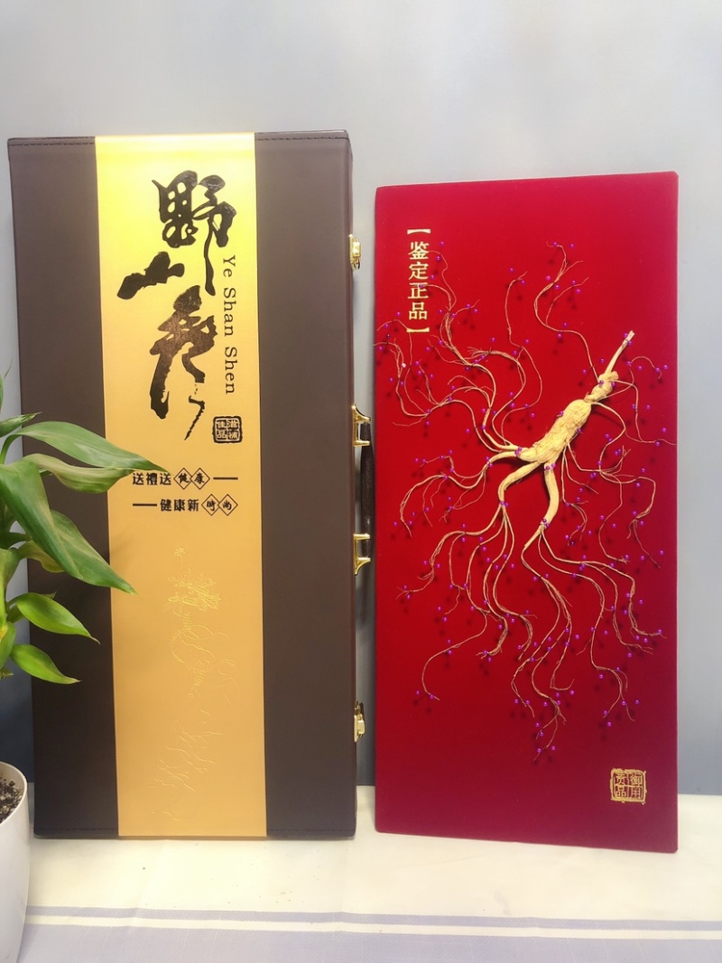林下参礼盒林下参钉板参珍珠钉礼盒参产地直发