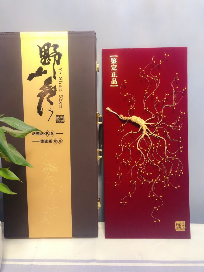 林下参礼盒林下参钉板参珍珠钉礼盒参产地直发
