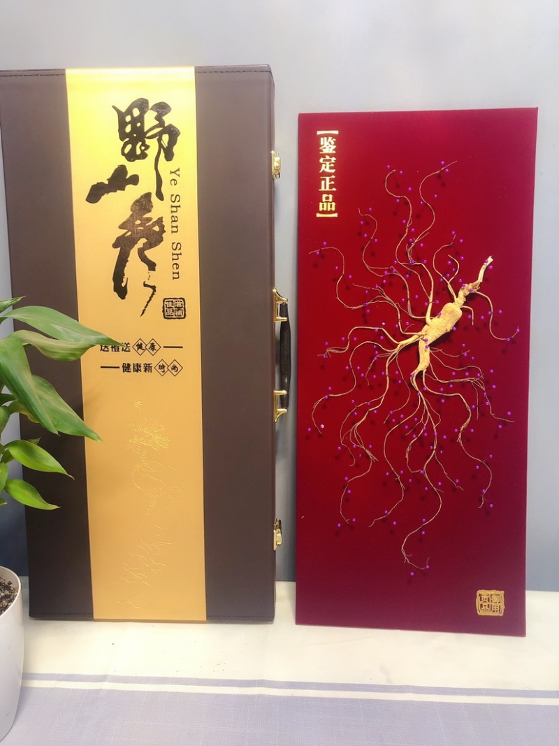 林下参礼盒林下参钉板参珍珠钉礼盒参产地直发