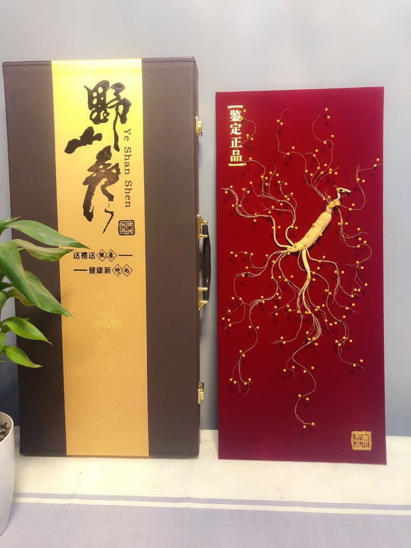 林下参礼盒林下参钉板参珍珠钉礼盒参产地直发