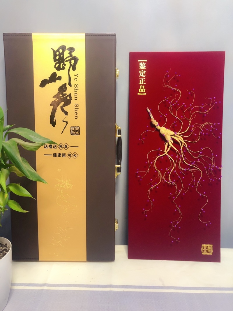 林下参礼盒林下参钉板参珍珠钉礼盒参产地直发