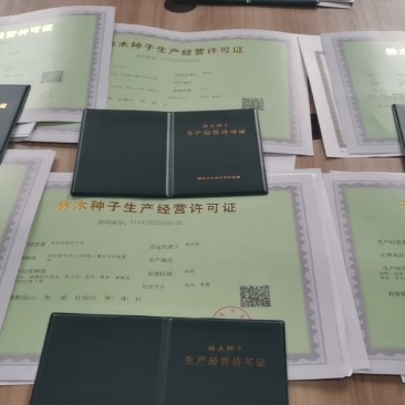 林木种子经营许可证果树苗等苹果橘子橙子柚子葡萄树苗花草树