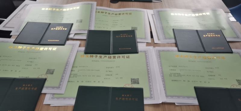 林木种子经营许可证果树苗等苹果橘子橙子柚子葡萄树苗花草树