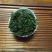 铁观音新茶正宗安溪铁观音浓香清香茶农直销