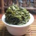 铁观音新茶正宗安溪铁观音浓香清香茶农直销