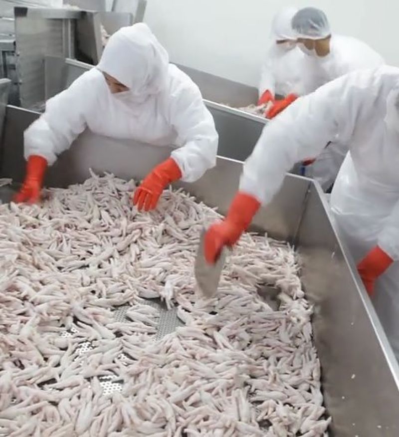 俄罗斯一手直采A级40—50鸡爪