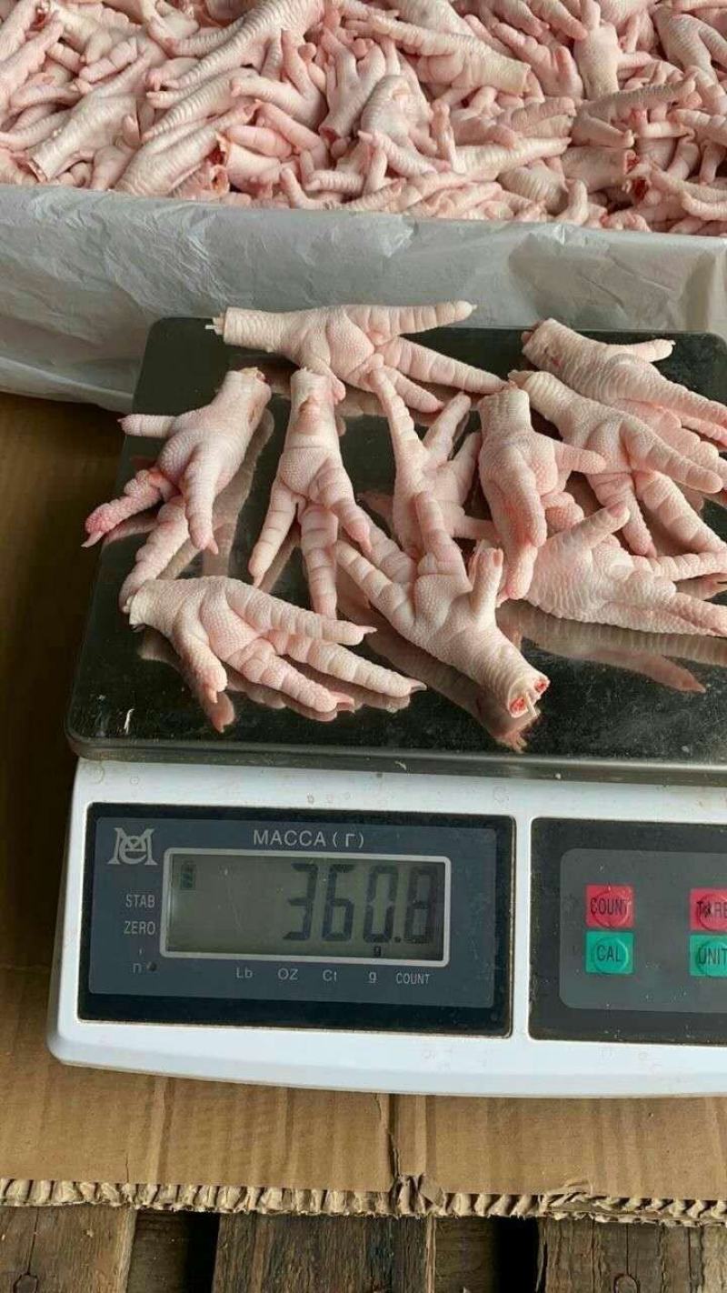 俄罗斯一手直采A级40—50鸡爪
