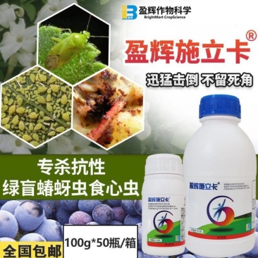 盈辉施立卡噻虫螓高氯氟氯氰菊酯果树蓟马蚧壳虫蚜虫专用药杀