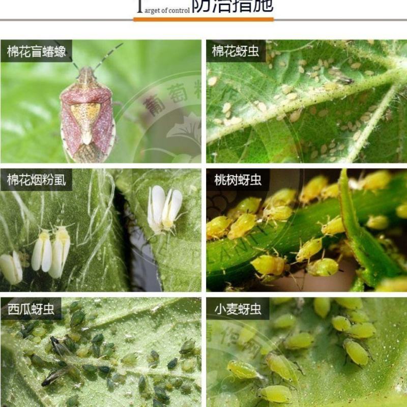 盈辉施立卡噻虫螓高氯氟氯氰菊酯果树蓟马蚧壳虫蚜虫专用药杀