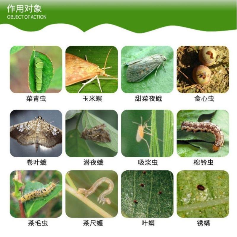 盈辉施立卡噻虫螓高氯氟氯氰菊酯果树蓟马蚧壳虫蚜虫专用药杀