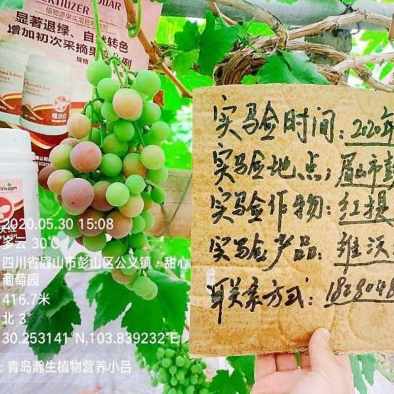壁虎物源增色表光剂柑橘葡萄桃苹果荔枝增光上蜡膨果美果