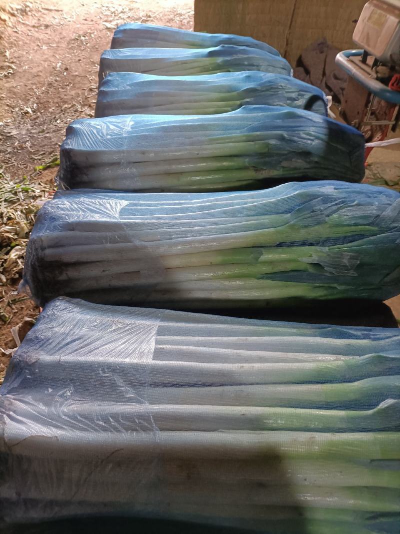 铁杆大葱，好的质量，净葱，毛葱
