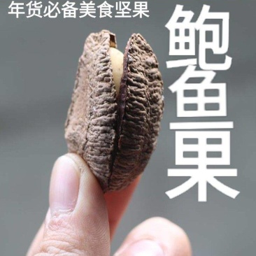 沙漠果新疆产品沙漠果沙漠果之果休闲零食沙漠果包邮一斤