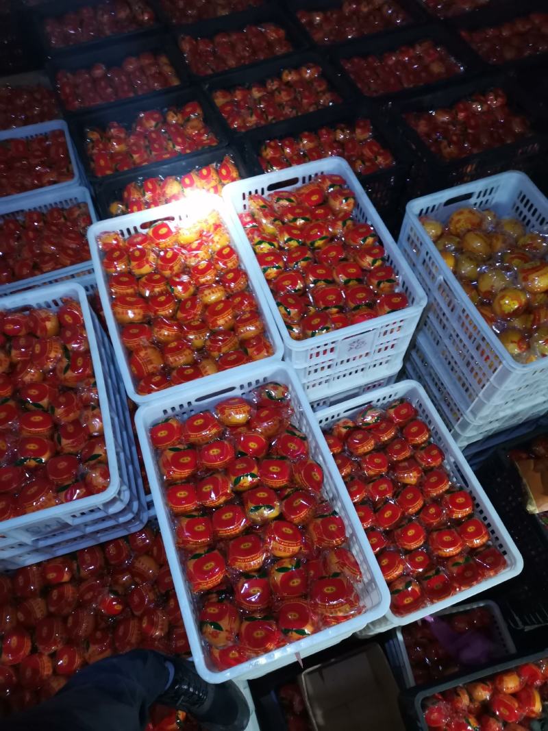 芦柑，精品，个大，甜度13.