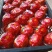 芦柑，精品，个大，甜度13.