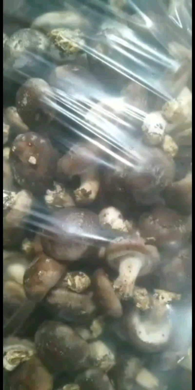 赶大集精品808注水小香菇，香菇储存简单方便