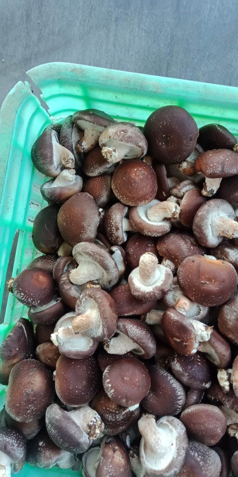 赶大集精品808注水小香菇，香菇储存简单方便