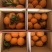 秭归冬橙纽荷尔长虹甜橙精品果