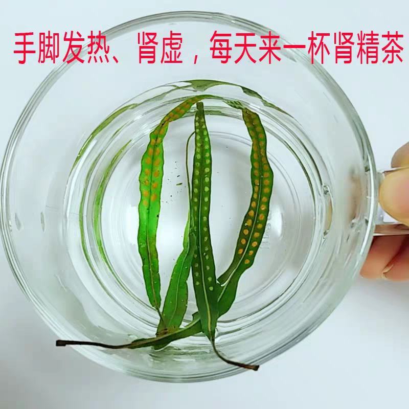 长白山肾精茶悬崖峭壁采摘养生茶持久更猛茶