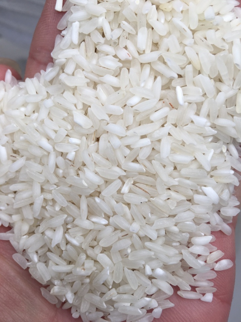 粉米、做粉专用米卡依玛小白米杜卡小靓米贵朝