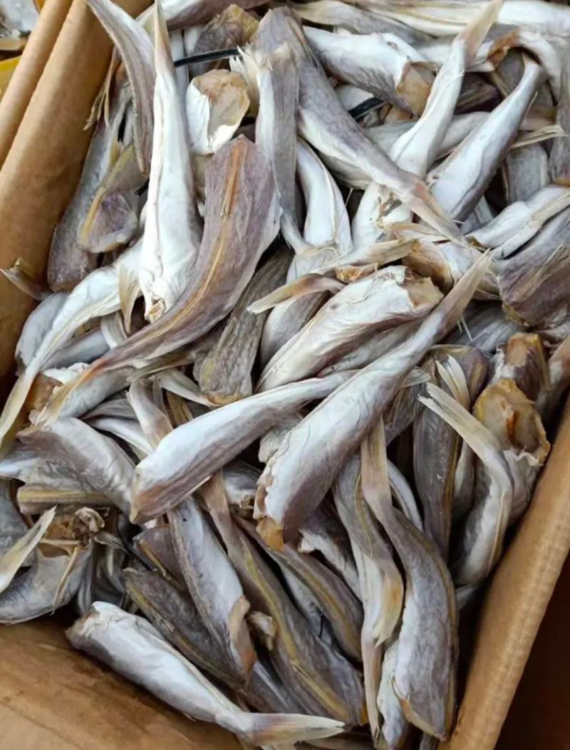 皮棍鱼，一款咸鱼，没有任何乱刺，质量保证，净13斤