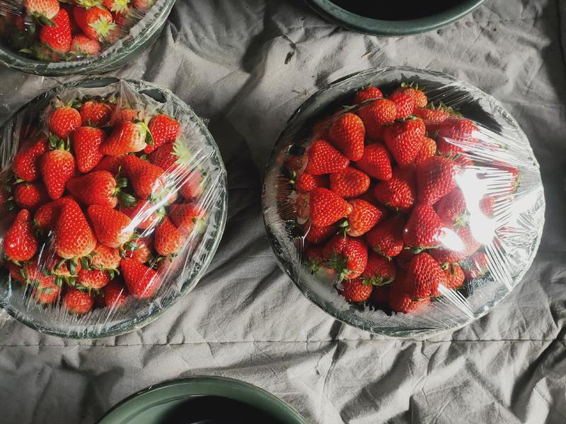 巧克力草莓，奶油草莓，新鲜水果，大量现货，批发零售，欢迎采购
