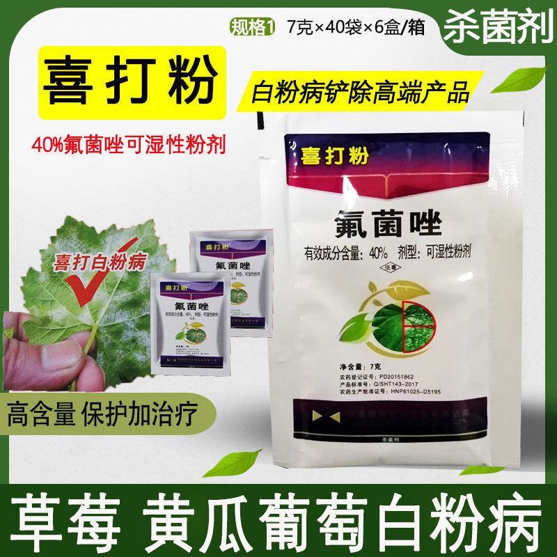 喜打粉40%氟菌唑白粉病黑星病锈病黄瓜辣椒农药