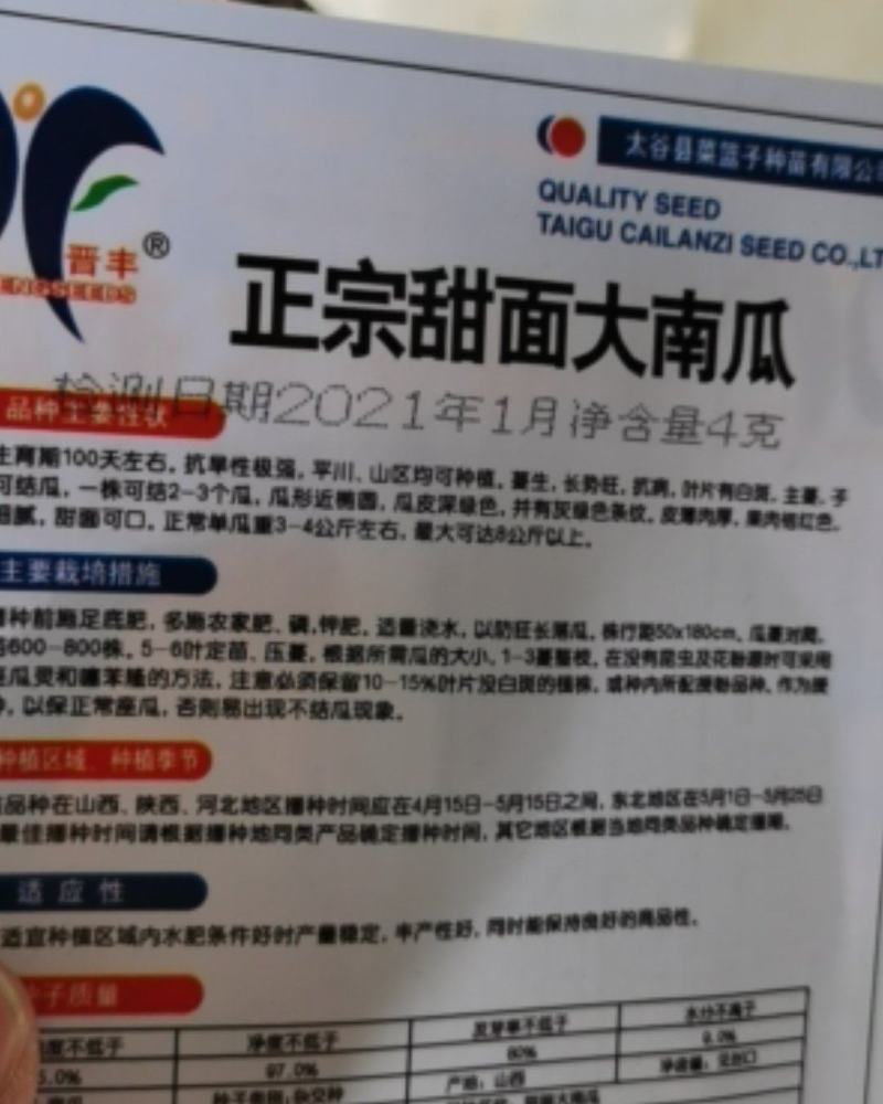 杂交甜面大南瓜种子超好吃超甜特面可口高产抗旱皮薄肉厚蔬菜
