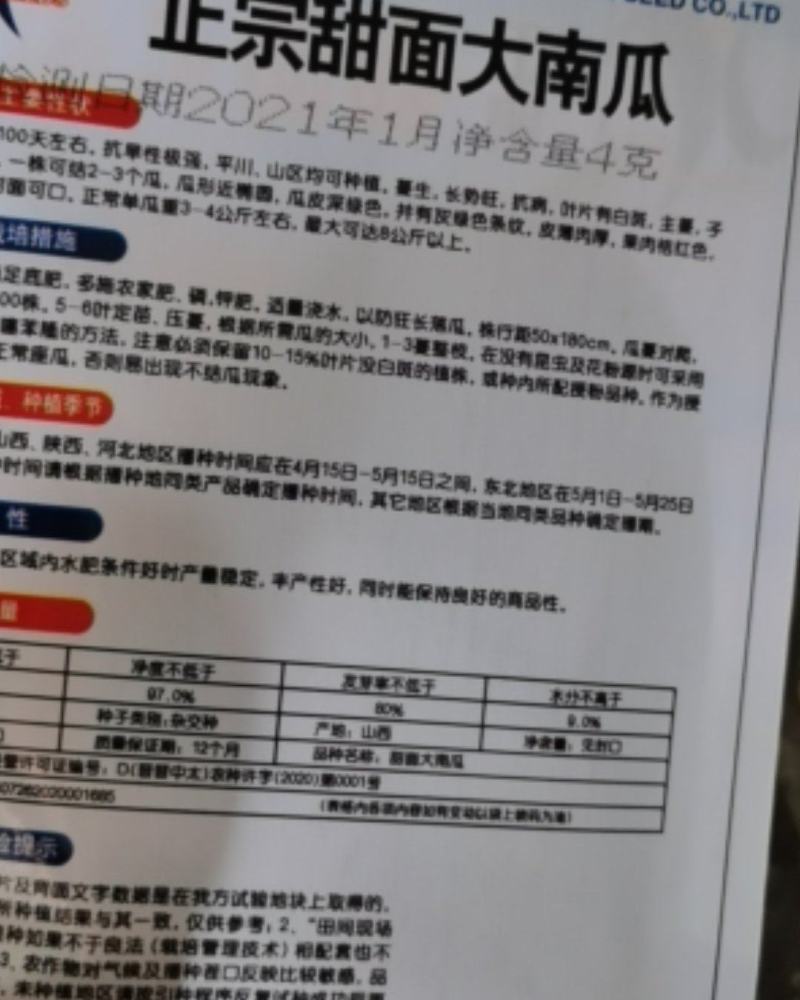杂交甜面大南瓜种子超好吃超甜特面可口高产抗旱皮薄肉厚蔬菜