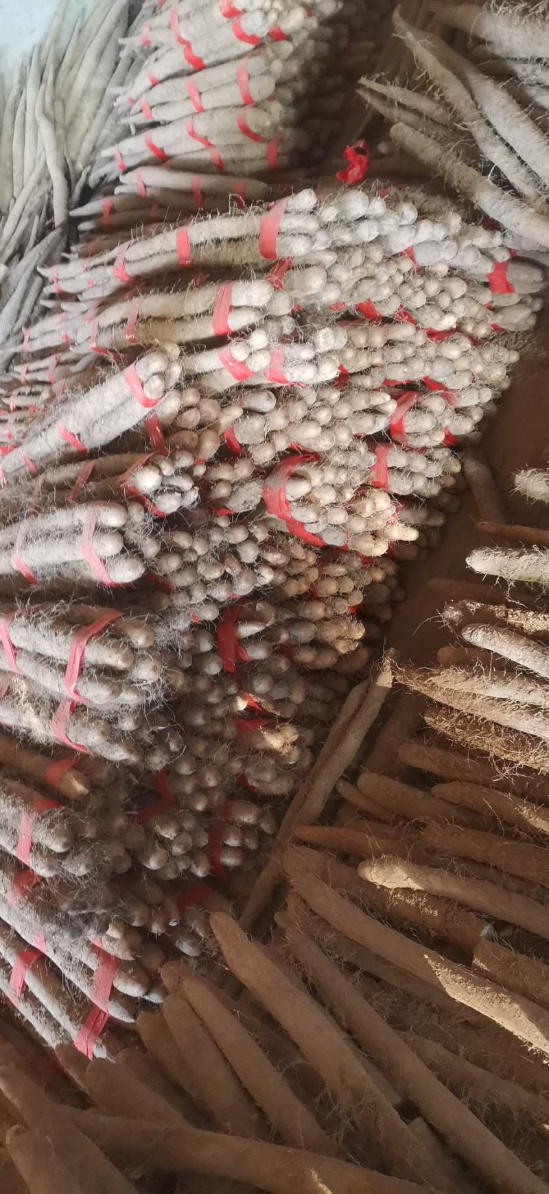 白玉山药，原产地，货源充足。