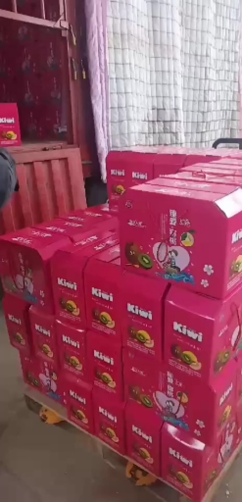海沃德！绿心猕猴桃，可以各种加工用果！出成在百分之九十五