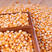 供应进口玉米粒干玉米玉米玉米粒需自备玉米进口配额