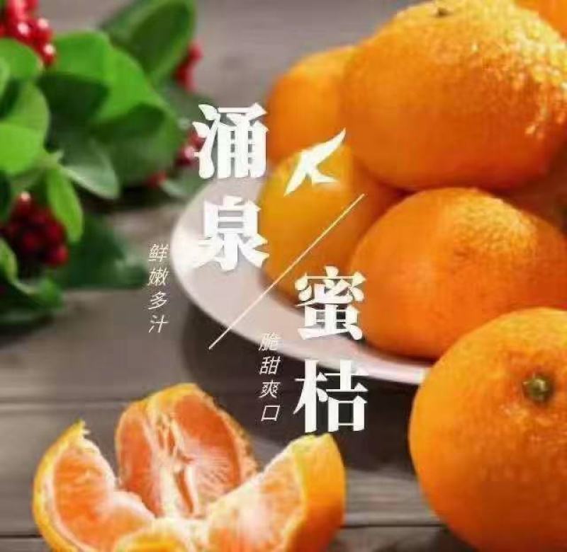 宫川蜜桔大棚口感好无渣，对接团购，商超代发