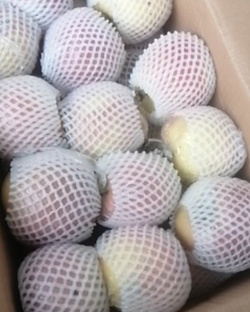 冰糖心苹果口感脆甜。质量好：无坏果片红，欢迎各地客商联系