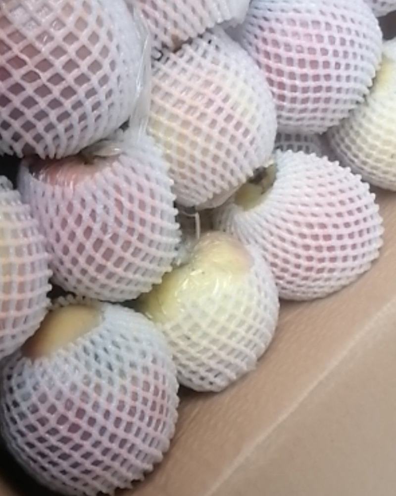 冰糖心苹果口感脆甜。质量好：无坏果片红，欢迎各地客商联系