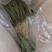 独脚金大量有货长期供应，质量把关，颜色青绿！！