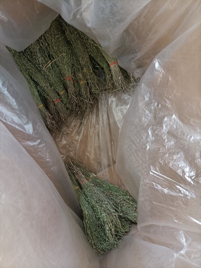 独脚金大量有货长期供应，质量把关，颜色青绿！！
