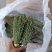 独脚金大量有货长期供应，质量把关，颜色青绿！！