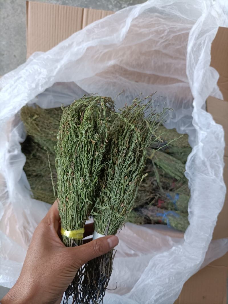 独脚金大量有货长期供应，质量把关，颜色青绿！！
